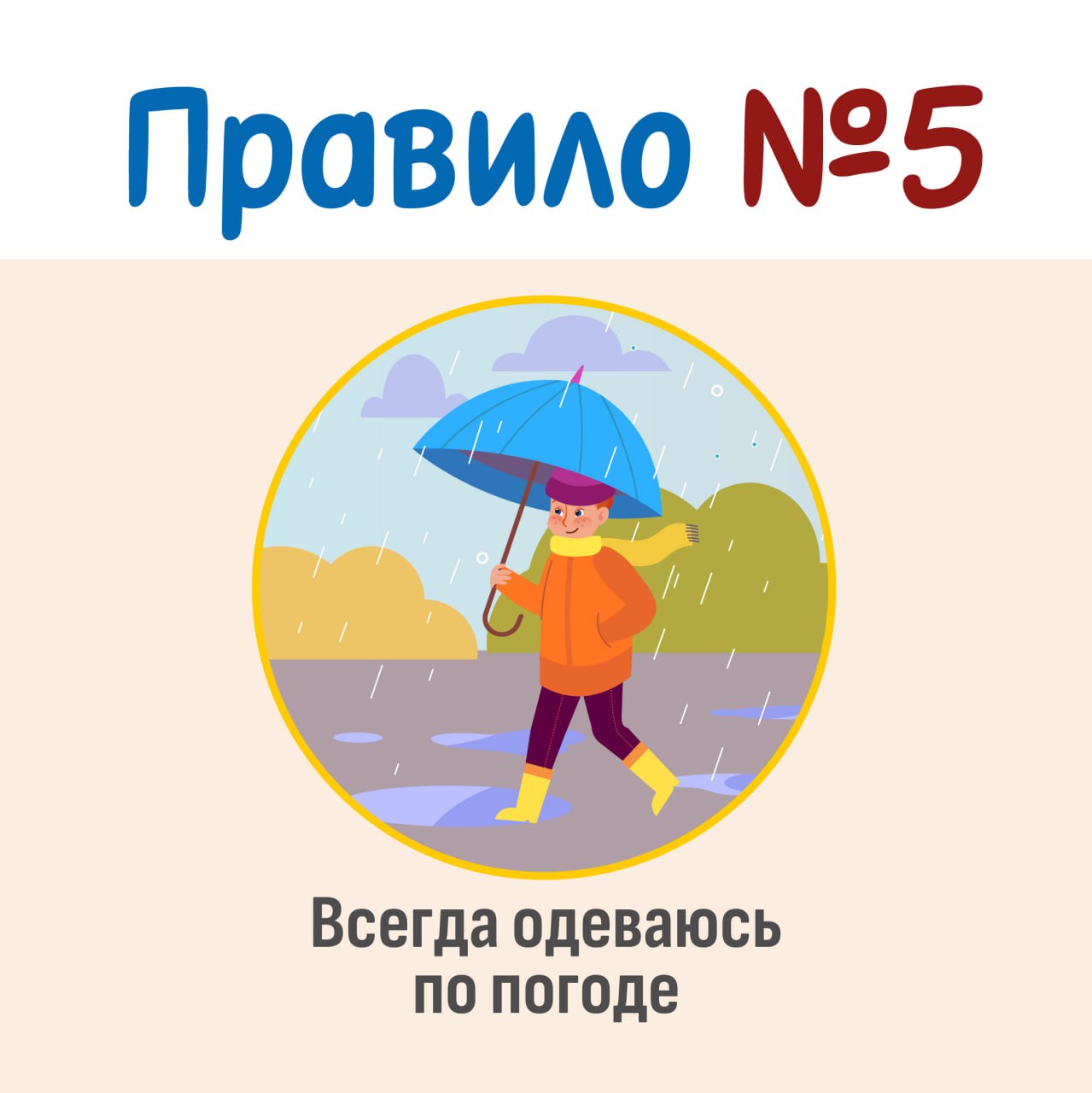 правило 5